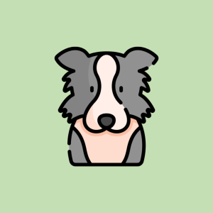 chien de face