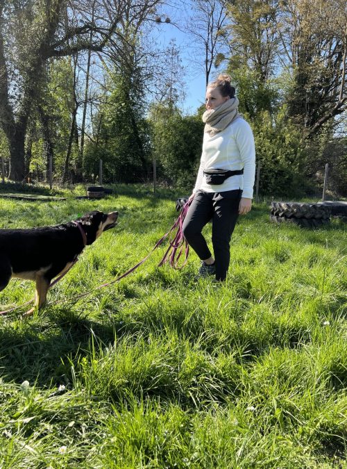 promenade-chien-laisse